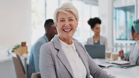 business leader, happy portrait of woman ceo