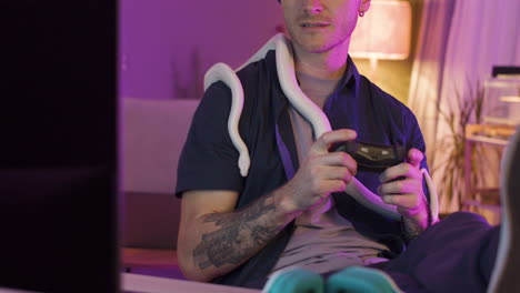 close up view of man sitting at desk and holding a snake around his neck while playing video games on the computer