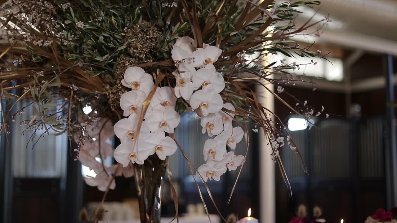Elegant Tall White Orchid Wedding Centerpiece
