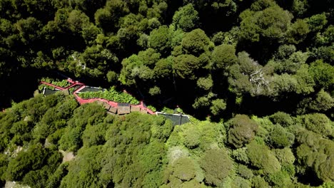recorrido de vista superior de termas geometricas hot springs en conaripe en el sur de chile - tiro de drone