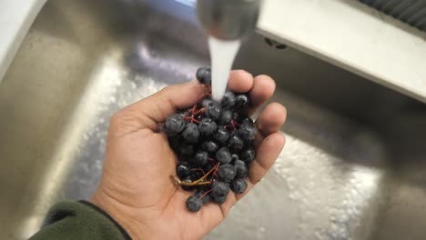 washing fresh berries in a kitchen sink