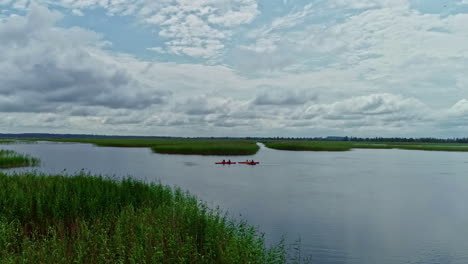 grupo de canoas remando aguas tranquilas del río, paisaje aéreo de drones