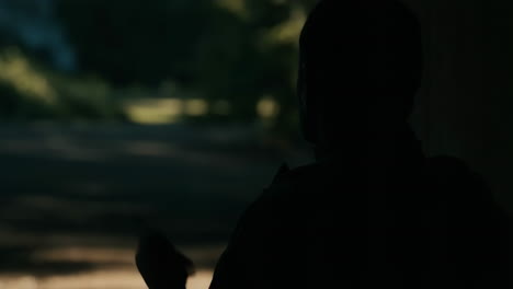 Silhouette of a Person Looking Out into the Distance