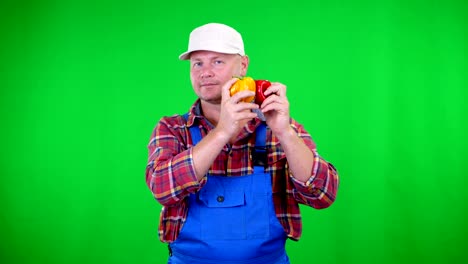 smiling male farmer in plaid shirt and hat holds sweet peppers, waving pepper, like maracas, on chromakey, green background. concept of healthy food to your table