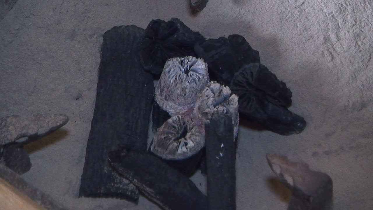 Close-up of Japanese binchōtan charcoal inside a shichirin charcoal stove
