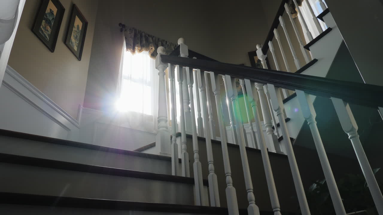 женщина несет рождественскую елку наверх