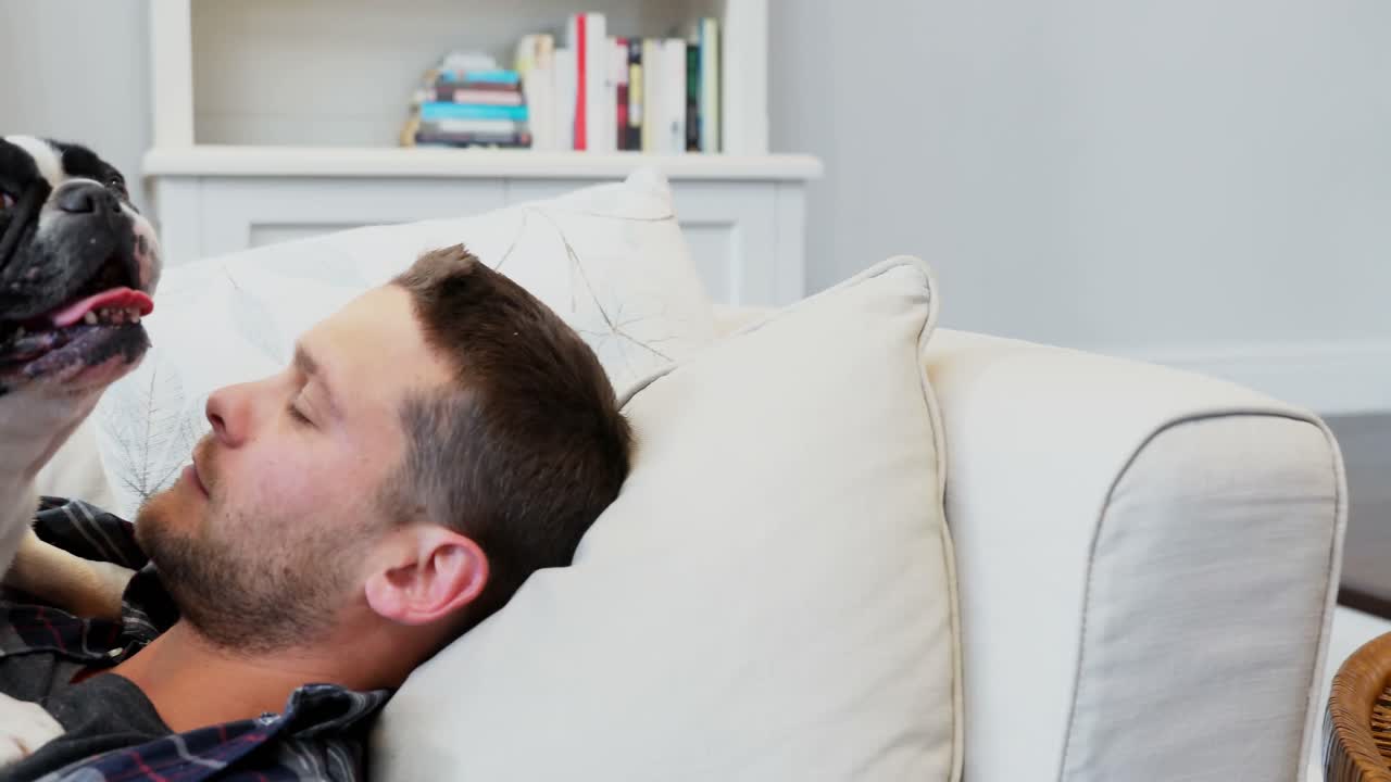 소파 4k에서 휴식을 취하는 파그 개와 함께 사람