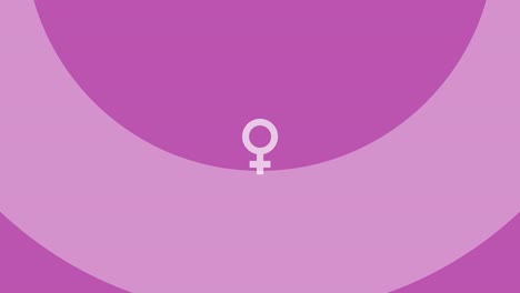 sex gender female sign on a pink background animation vector