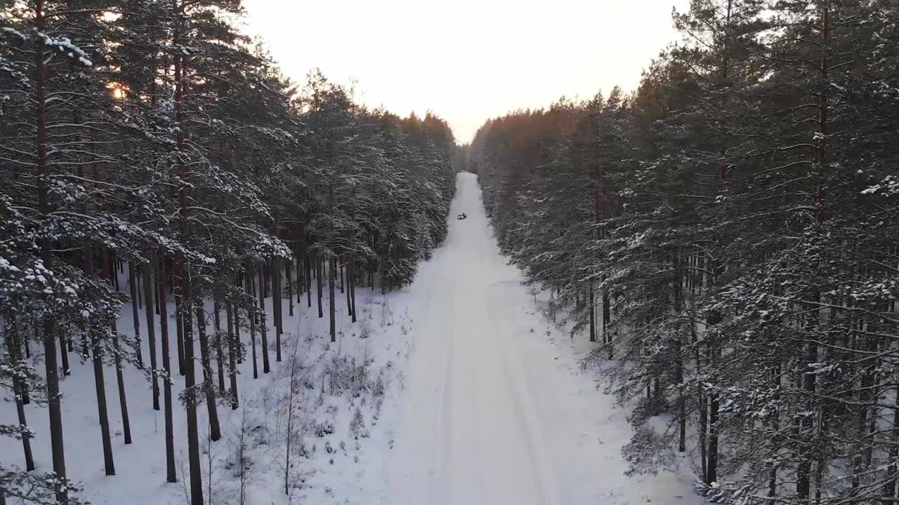 12월 초 눈 덮인 숲_snow_tree_winter_coldwinter_beautifulwinter_droneshots