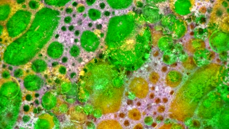 fabulous patterns