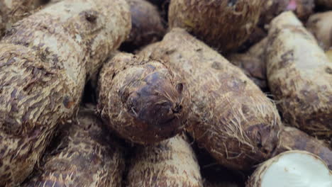 tilt close up of a pile of yautia at a market