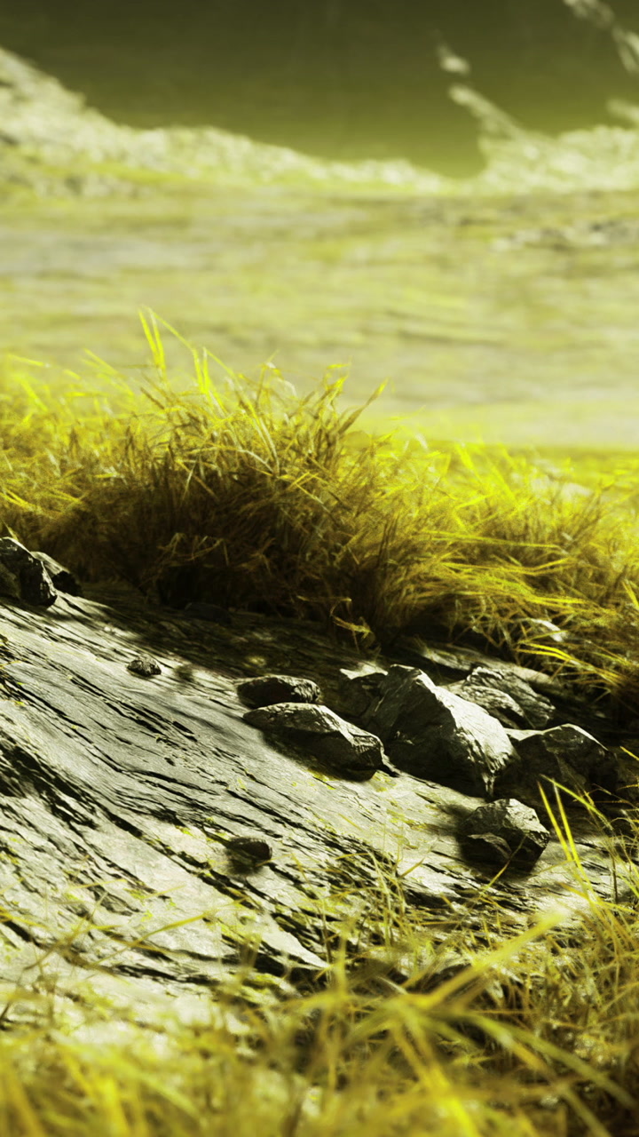 Bright grass and textured rock near water at sunset