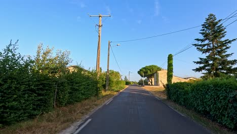 a peaceful journey through a vineyard landscape