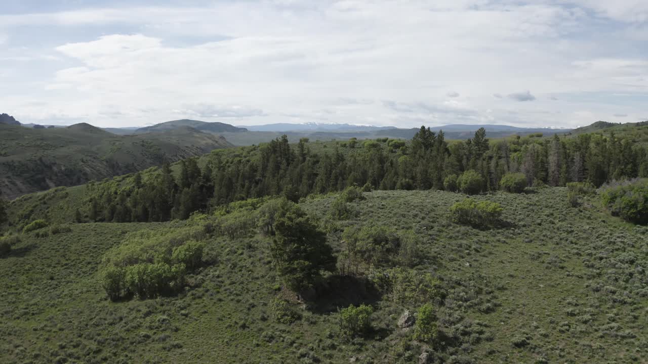 montañas rocosas de colorado con llanuras cubiertas de hierba cerca de un desfiladero y tala de bosques, tiro aéreo