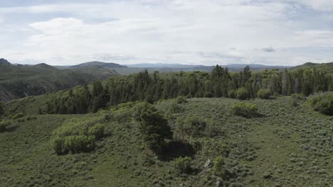 Colorado-Rocky-Mountains-with-Grassy-plains-near-a-gorge-and-forest-clearing,-Aerial-flyover-shot