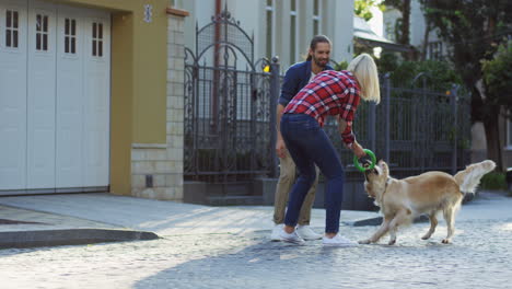 young man and woman playing with a labrador dog on the street on a sunny day 3