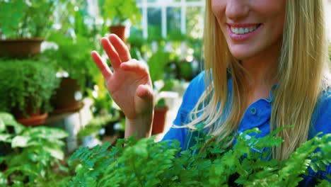hermosa mujer comprobando planta