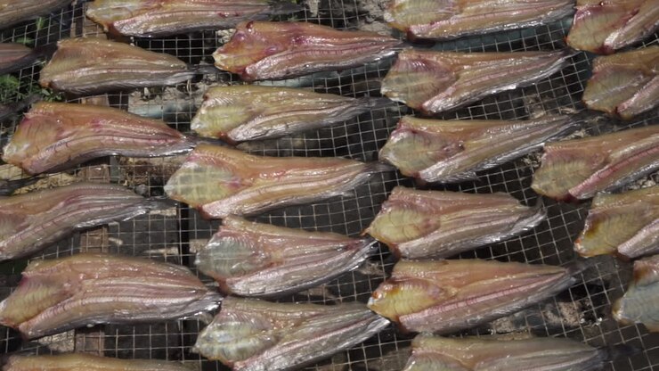 Primo piano, panoramica a destra di filetti di pesce su un essiccatoio, Bangkok, Thailandia.