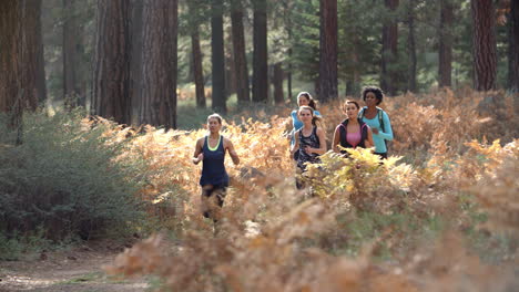 group of five young adult women running in a forest