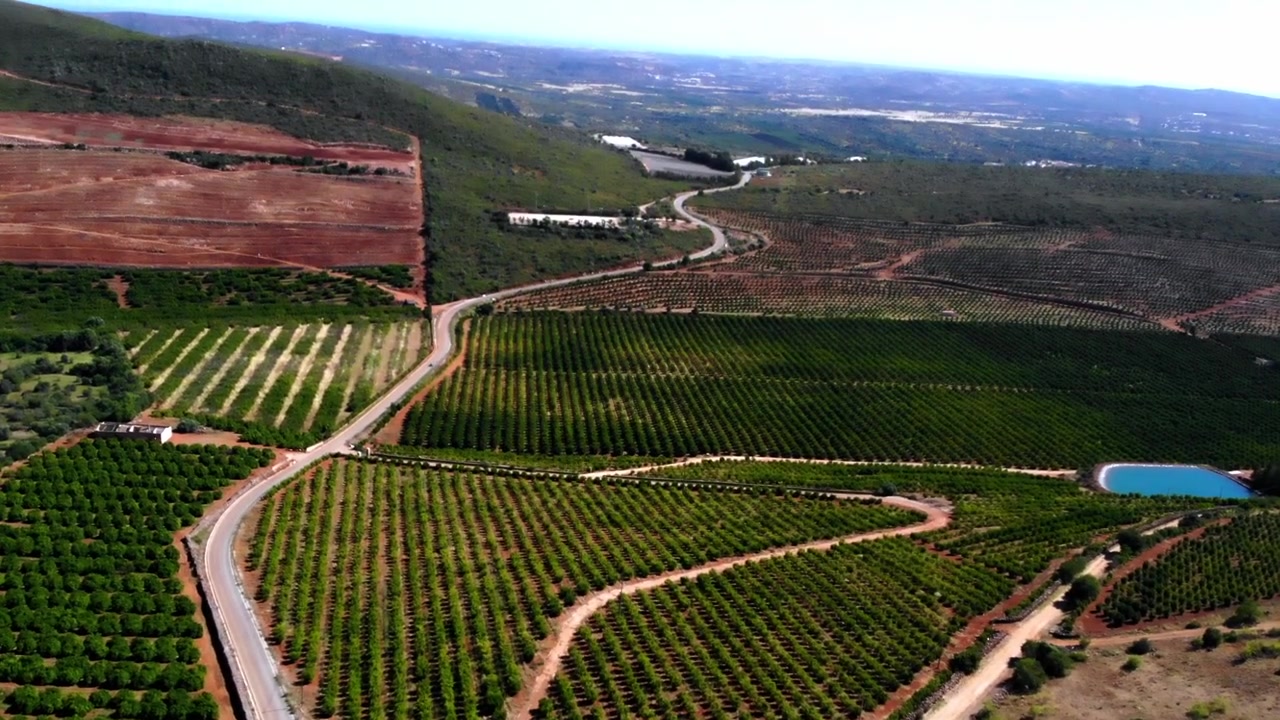 Ripresa con drone delle piantagioni verdi in Algarve, Portogallo.