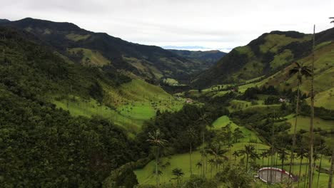 Hermoso-Paisaje-De-Colinas-De-Hierba-Verde-En-El-Valle-De-Cocora,-Montañas-De-Los-Andes