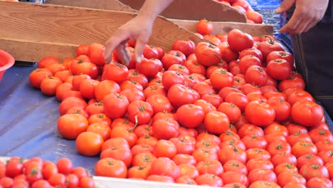 tomates rojos frescos en el mercado