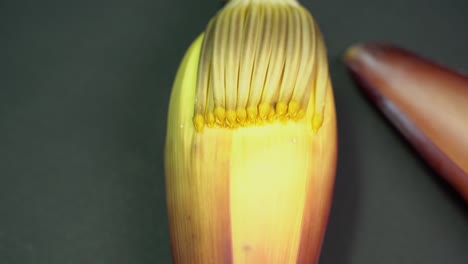 Flor-De-Plátano-Rica-En-Nutrientes-O-Flor-De-Plátano-O-Moca-Tiene-Muchos-Beneficios-Nutricionales