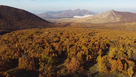 Drohnenaufnahme-Eines-Tals-Mit-Bäumen-Im-Herbst,-Umgeben-Von-Bergen