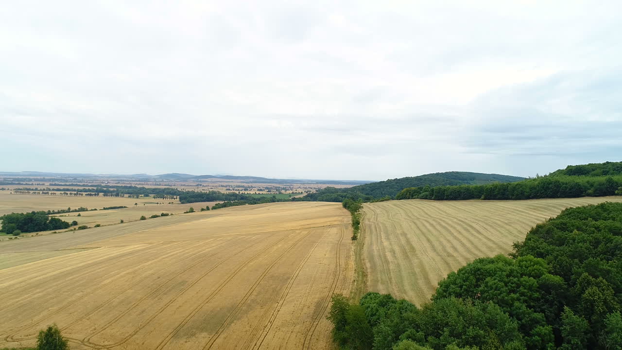 Aerial Shoot Of Wheat Fields