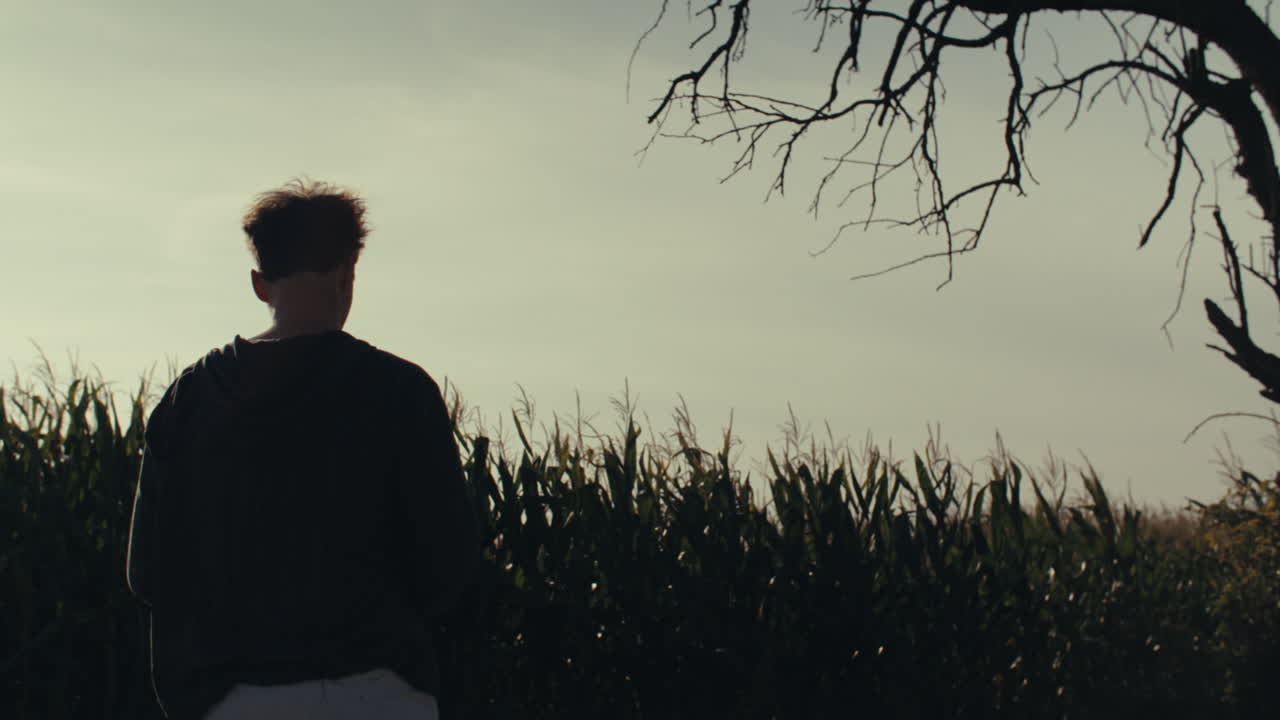 Silhouette of a person in a field with a dead tree