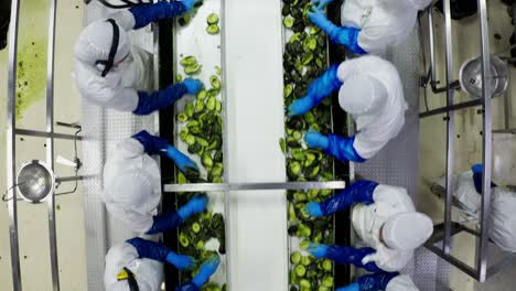 drone shot of guacamole plant in michoacan