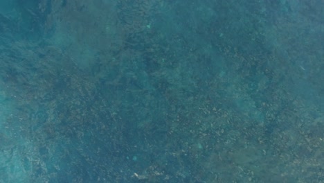 Aerial-shot-of-blue-ocean-surface-and-foamy-waves