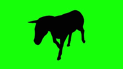 silhouette of a donkey walking on green screen, perspective view