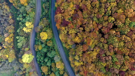 Draufsicht-Straße-Durch-Den-Wald