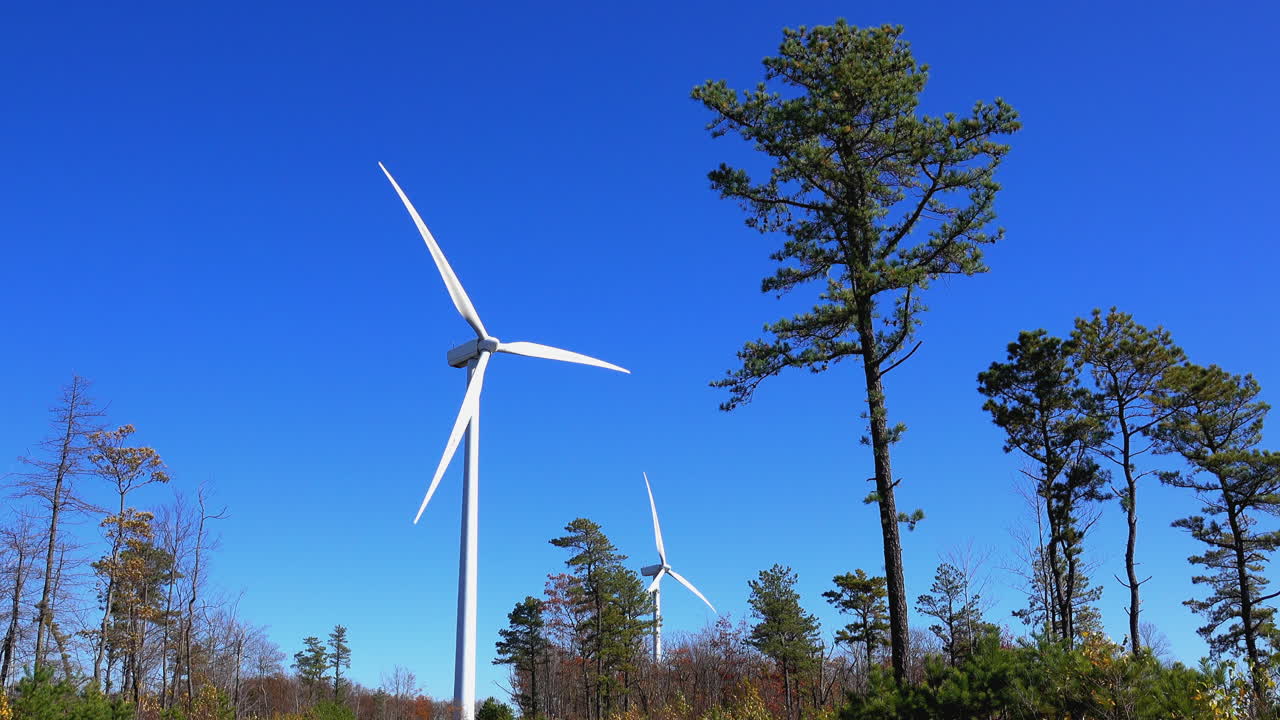 풍력 터빈은 앞면에 소나무와 함께 고 은 가을 날에 작동합니다.