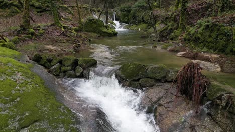 Forest-Creek-Flowing-Through-Mossy-Rocks---aerial-through-the-woods