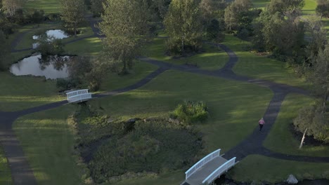 athletic woman running through public park during sunset, aerial