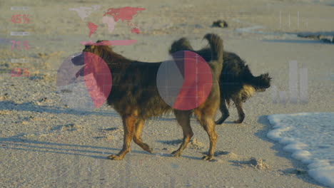3d render showing two long-haired dogs walking along sandy shoreline, displaying ui overlays