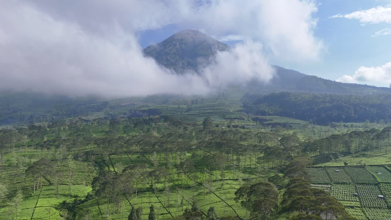 Beautiful panoramic shot of a tea plantation in tropical highlands, showing vibrant green terraces, fog rolling over the mountain, and peaceful rural scenery. Bedakah tea plantation, Indonesia