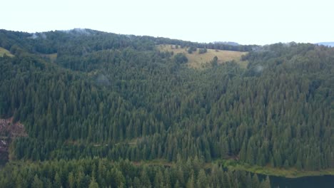 Aerial-Drone-Shot-of-a-River-that-Cuts-through-the-Mountain-Side-of-the-Valea-Draganului-in-Romania