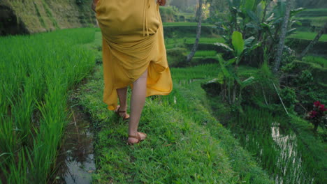 woman walking in rice field wearing yellow dress exploring lush green rice paddy exotic vacation in bali indonesia