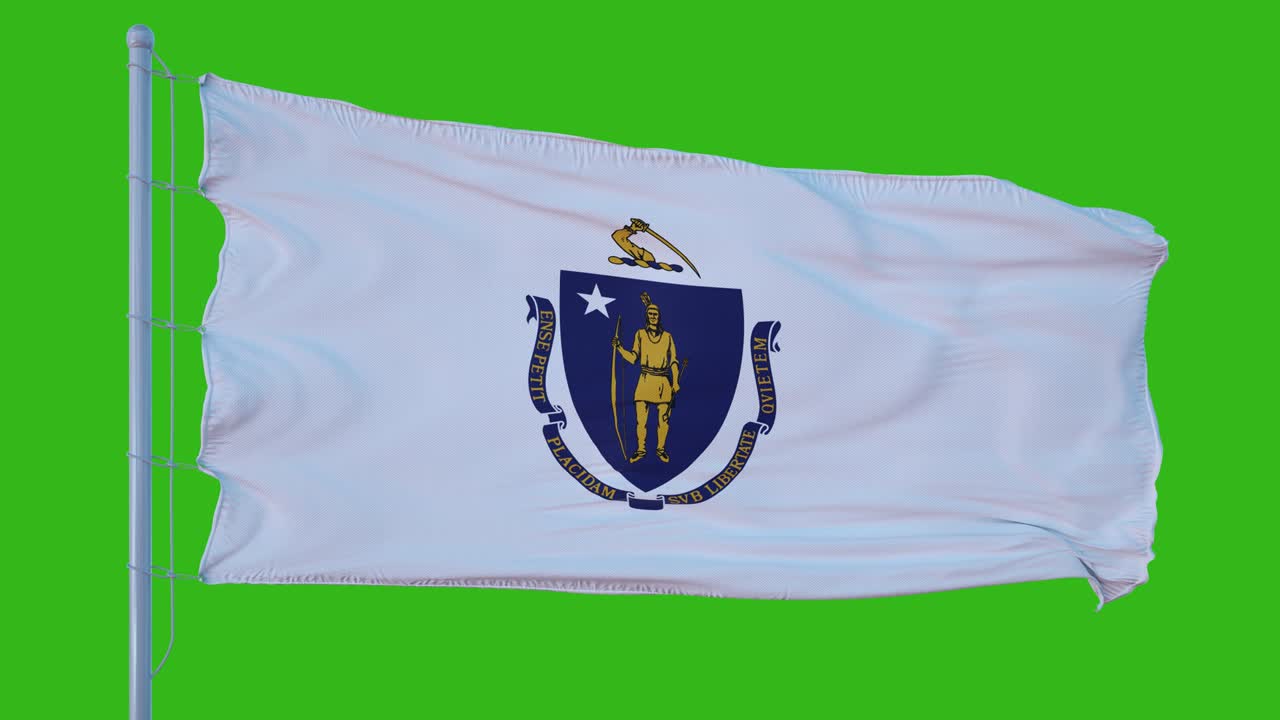 매사추세츠 주 발이 녹색 화면 배경에 바람에 흔들리고 있습니다.