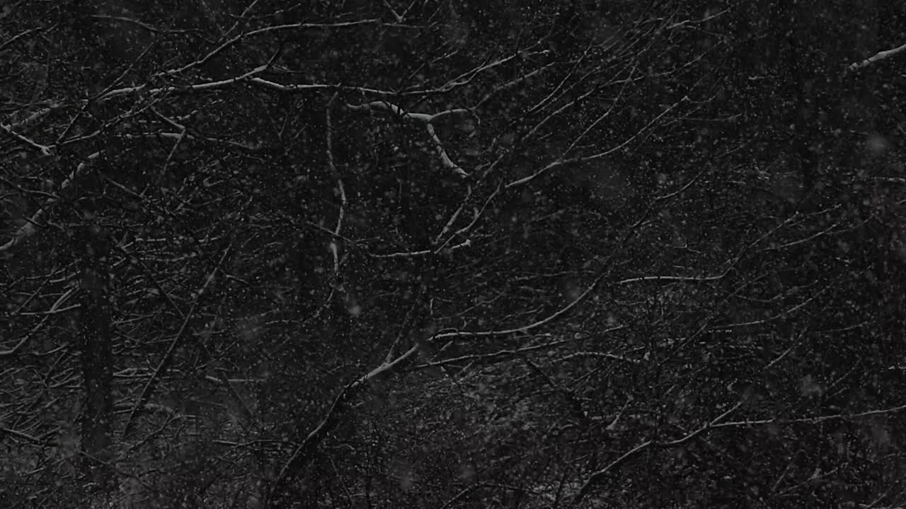 pesados copos de nieve acumulándose en las ramas de los árboles. estático