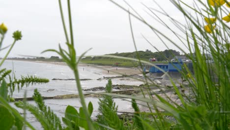 Frühlingsnatur-Mit-Portmarnock-Velvet-Strand-Beach-Im-Hintergrund-In-Dublin,-Irland