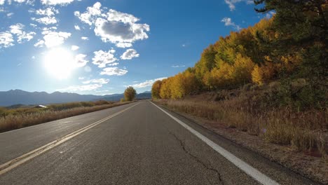 driving plate - highway 14 in colorado during the fall, golden and orange aspen trees along the highway