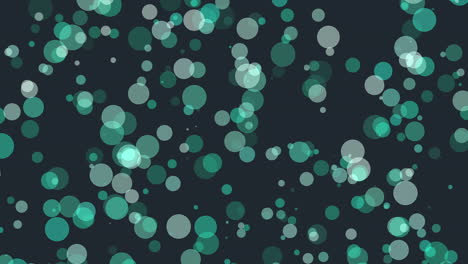 círculos vibrantes un patrón dinámico de colores y tamaños en un fondo negro
