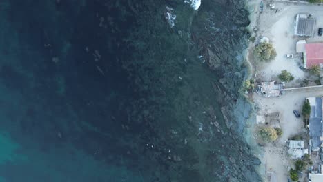 birdseye view of tropical coastline, waves, seacliffs, and seagulls