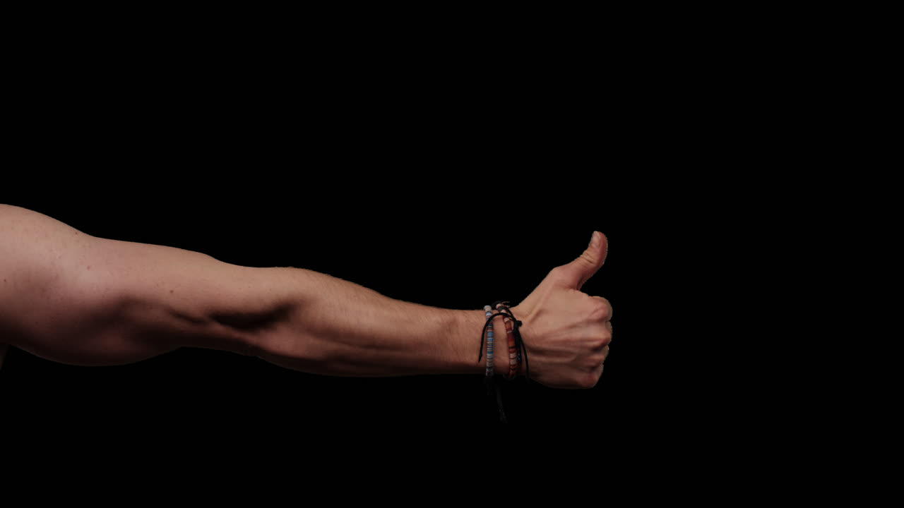 알파 채널에 대한 손의 제스처