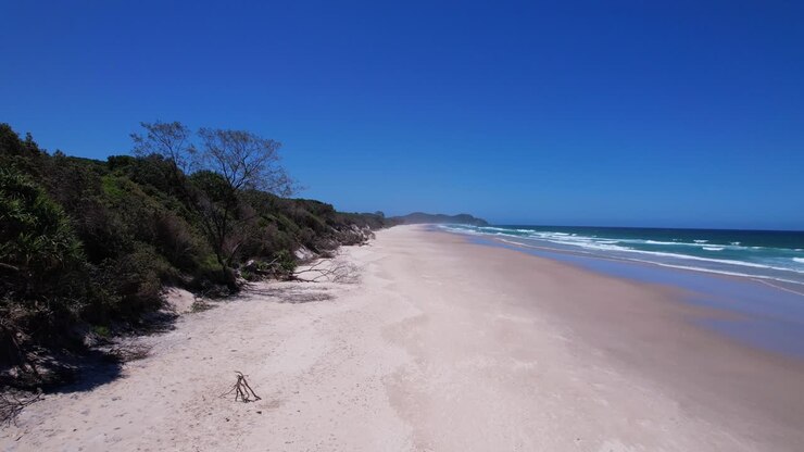 Sandiger Tallow Beach mit Küstensträuchern und Bäumen in Byron Bay, NSW, Australien. Weite Drohnenaufnahme