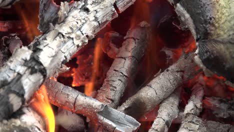 during the hike, a bonfire in nature